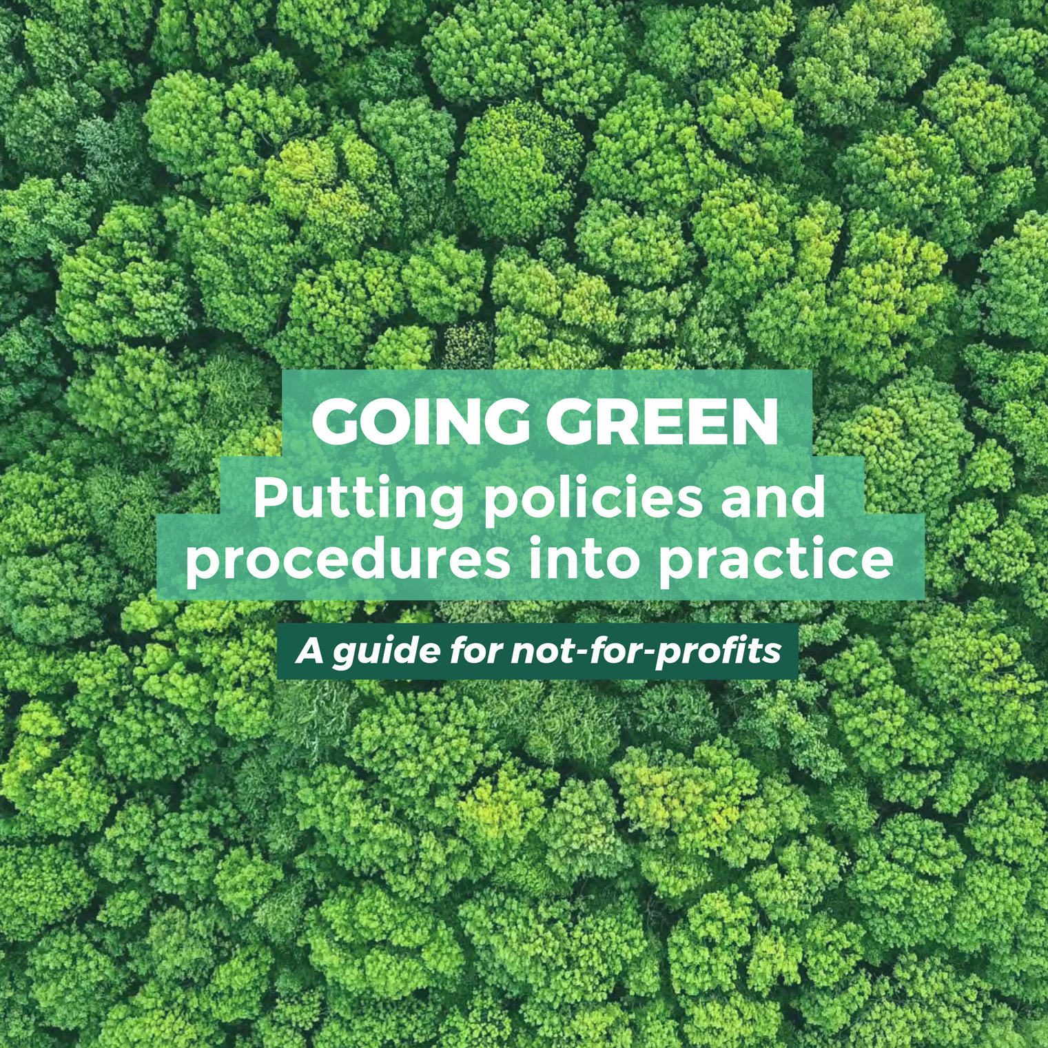 Going Green: putting policies and procedures into practice