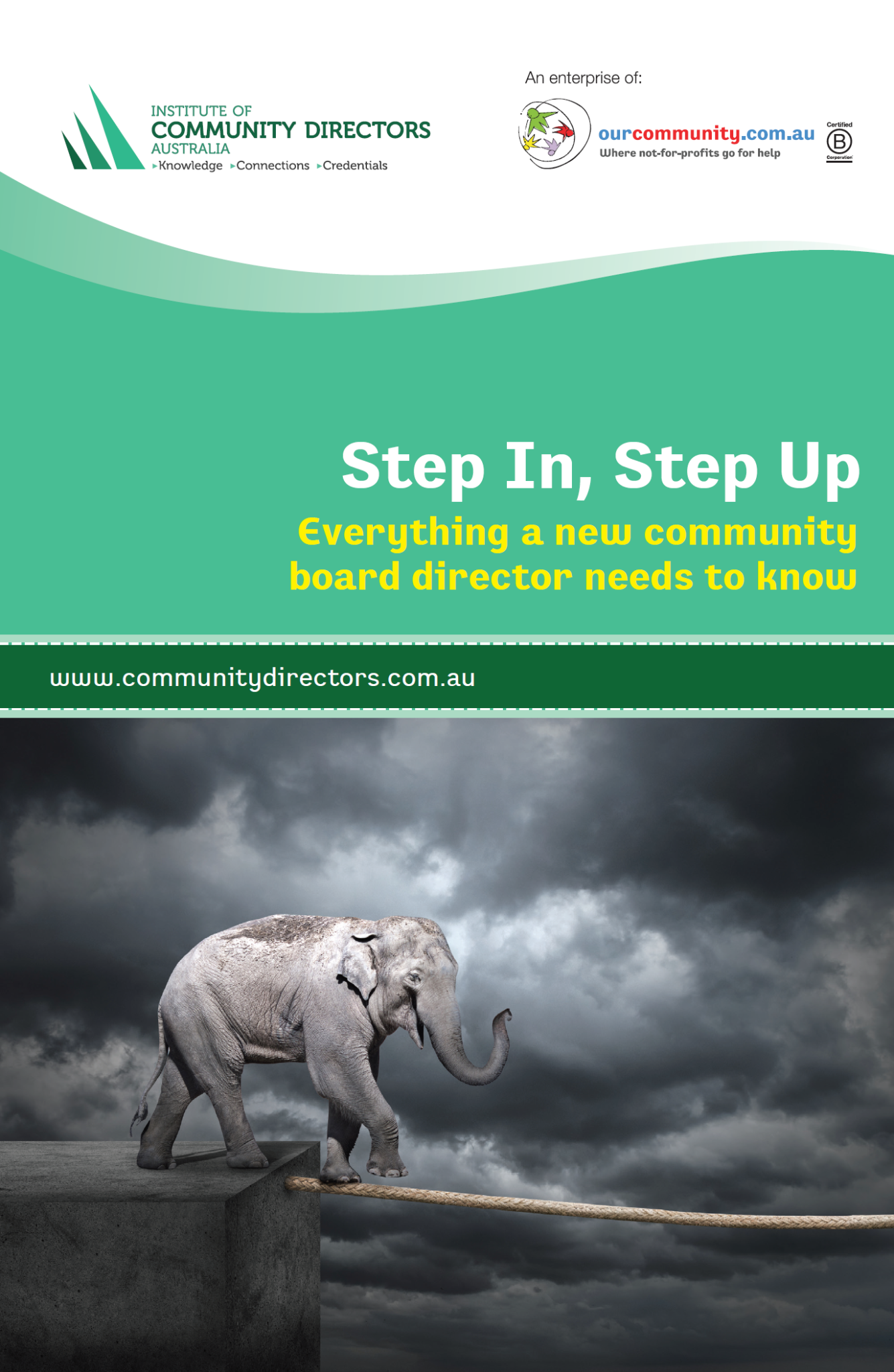 Step In, Step Up: Everything a new community board director needs to know