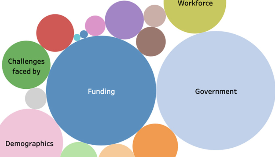 Data visualisation: ICDA Not-for-Profit Governance Roadmap 2020
