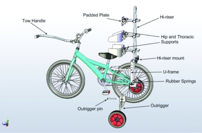 Diagram Bike Freedom Wheels